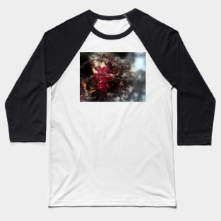 red Malus 'Radiant'  crab apple blossoms #2, focal black & white Baseball T-Shirt